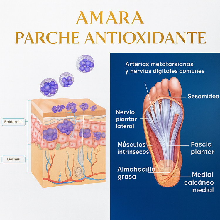 Parches desintoxicantes