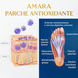 Parches desintoxicantes